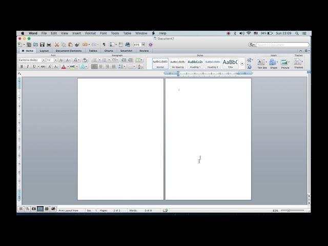 How To Delete Blank Page in Word on Macbook