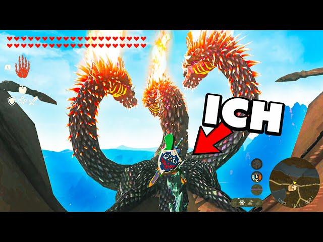 Ich Teste 37 Mythen in Zelda TotK