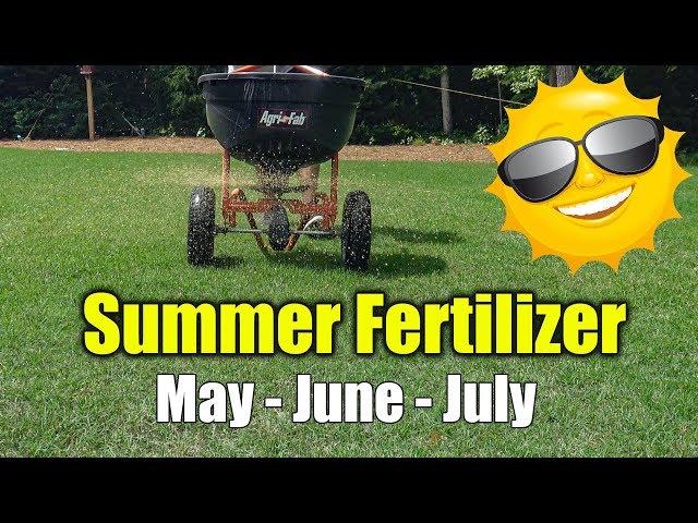 Summer Lawn Fertilizer