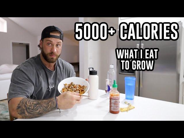 FULL DAY OF EATING | BULKING EDITION