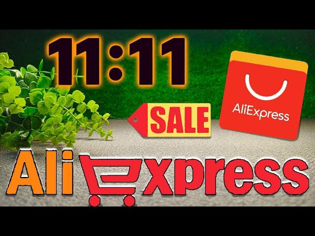 The best finds for 11.11! Top AliExpress discounts and promo codes of 2024