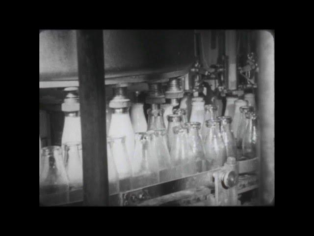 Wellington's Milk Supply (1947)