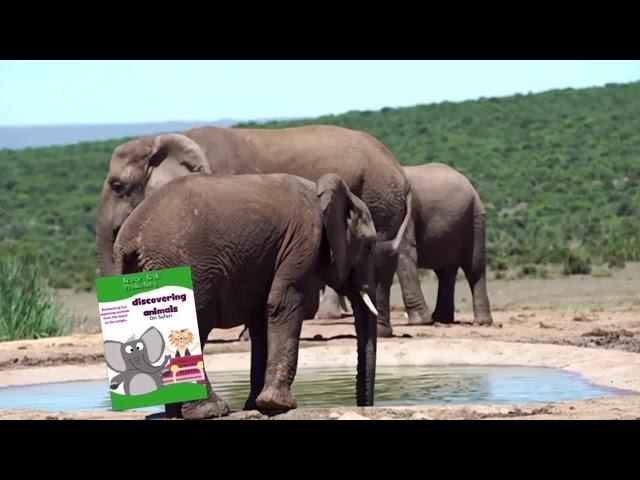Discovering Animals - Volume 2 - On Safari Trailer
