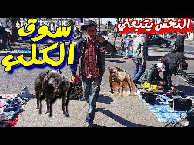 يوم منحوس في البيع والشراء في سوق الكلب  (#vlog 75)