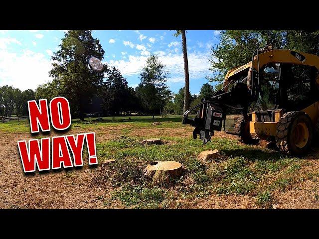 Removing Over A Hundred Tree Stumps In One Day | We Try Out A New Skid-Steer Attachment