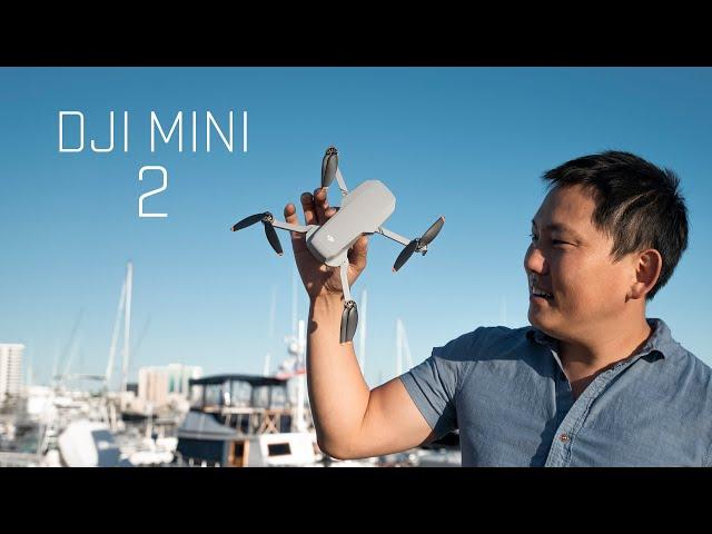 DJI Mini 2 | The Sub $500 Mavic Mini Just got Better... MUCH BETTER!