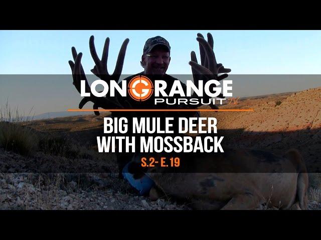 Long Range Pursuit | S2 E19 Big Mule Deer with Mossback