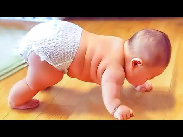 Best Videos Of Funny Chubby Babies Compilation || Baby Family Video