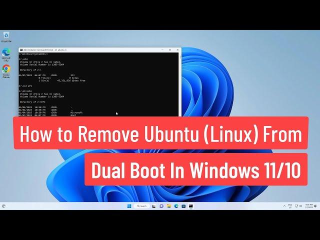 How to Remove Ubuntu(Linux) From Dual Boot In Windows 11/10