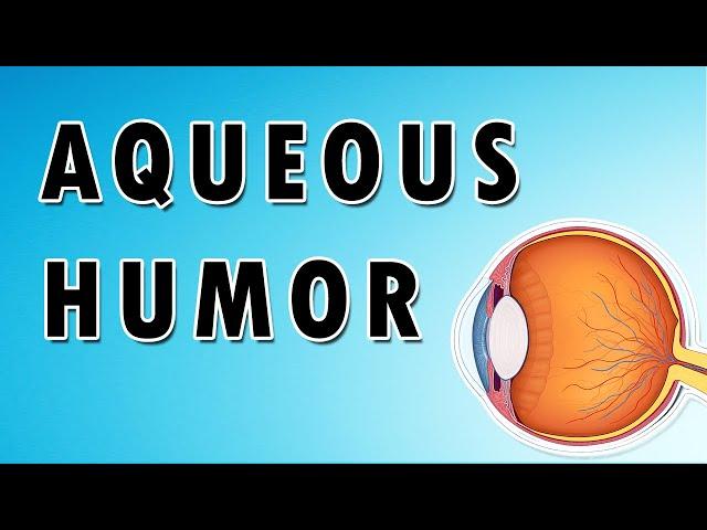 Aqueous Humor