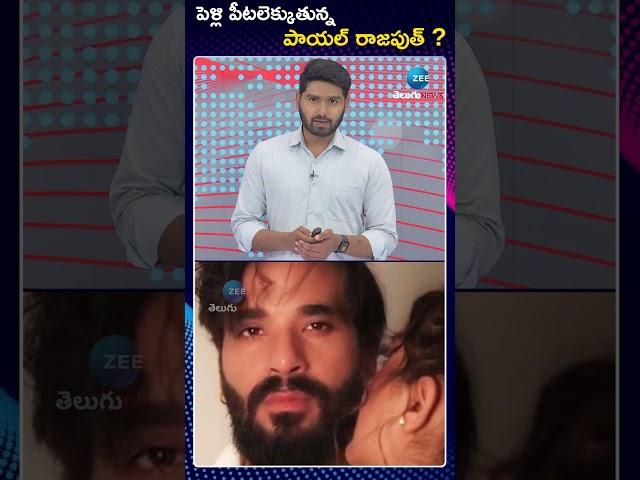 Payal Rajput Marriage Update | పెళ్లి పీటలెక్కుతున్నపాయల్ రాజపుత్ | ZEE Telugu News