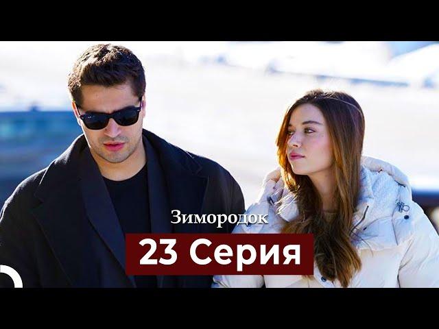 Зимородок 23 Cерия (Русский дубляж)