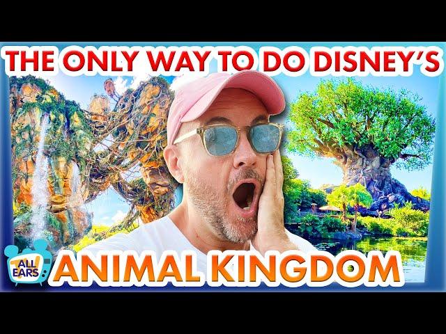 I Go To Disney World Every Day And This Is The ONLY Way I'll Do Animal Kingdom