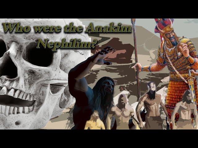 Who were the Anakim Nephilim?