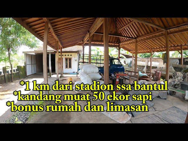 dijual kandang sapi bonus rumah dan limasan  1 km dari stadion SSA bantul