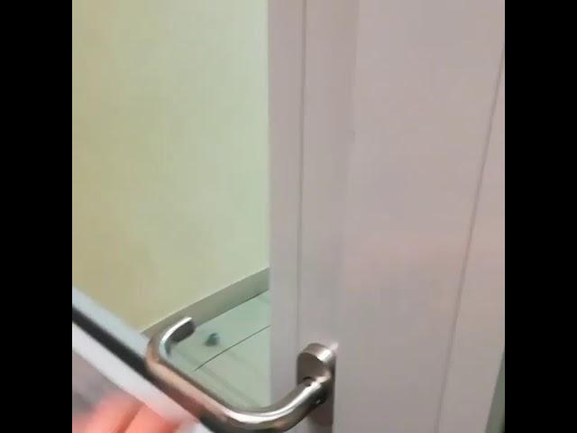 Door has a soul of a bird