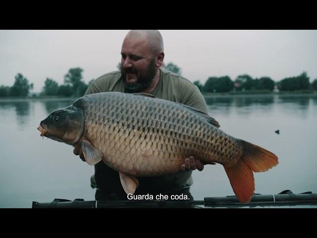 Carp Fishing Elbe River - LET IT FLOW