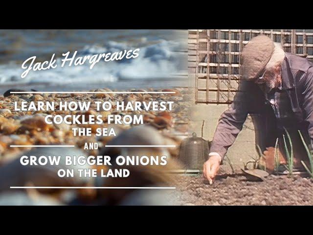 Learn to Harvest Cockles and Grow Large Onions - Jack Hargreaves