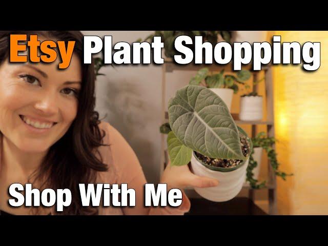 Etsy Plant Shopping - Plant Shop With Me Online On Etsy - Houseplant Shopping