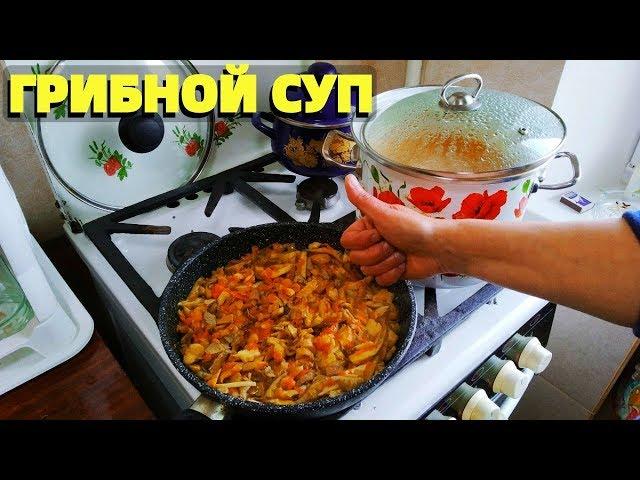 Как сварить грибной суп из вешенки вкусный рецепт