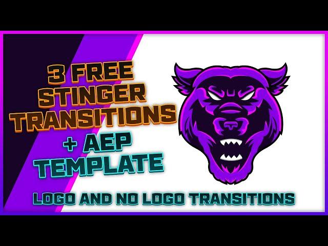 3 Free Stinger Transitions + AEP Template Download | FREE After Effects Download