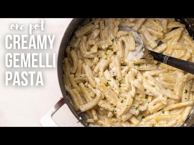 Creamy Gemelli Pasta Recipe | easy and delicious! | The Recipe Rebel