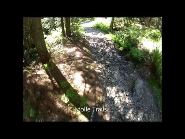 09.Juni 2014 - Trailen im Bayrischen Wald - Freeride am Gr. Arber