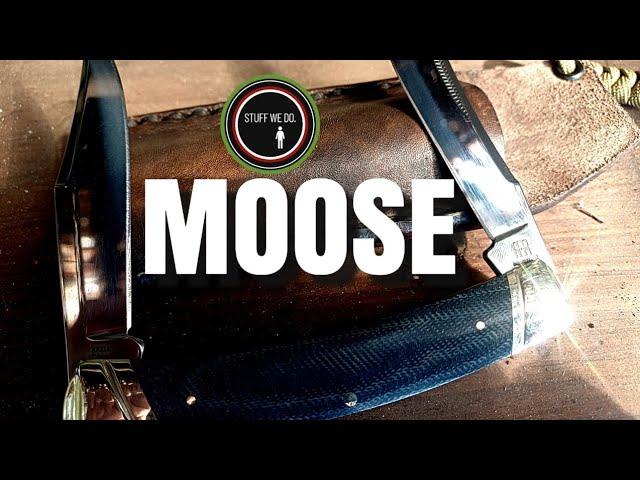 Rough Ryder Denim Micarta T10 Carbon Large Moose Folding Knife and interesting facts about MOOSE!