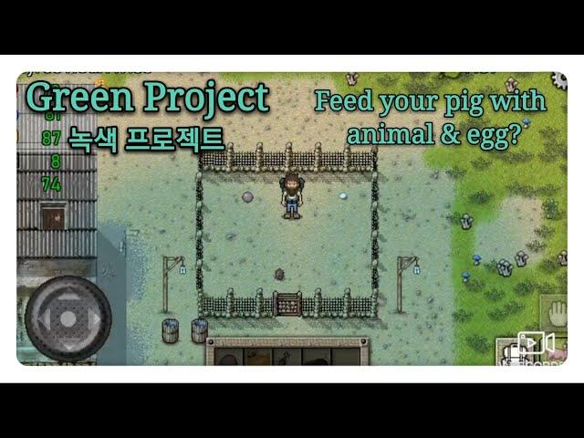 Green project - Feed your pig with animal and egg!!