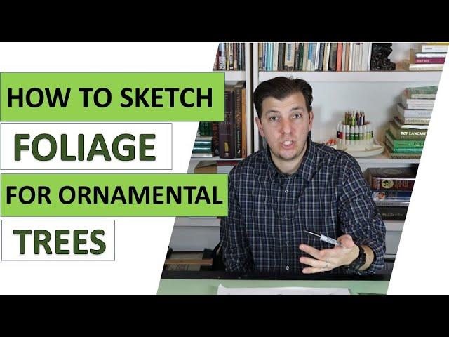 How To Sketch Foliage For Ornamental Trees