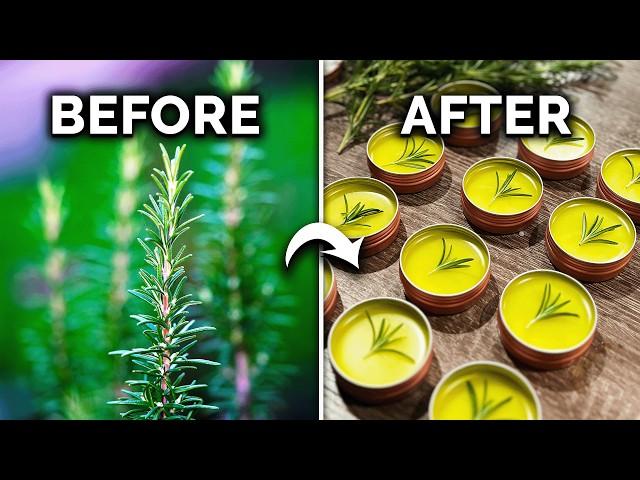 How to Grow & Use Your Homegrown Rosemary