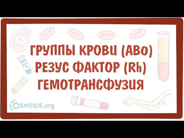 [физиология] — Группы крови (AB0), Резус фактор (Rh) и переливания крови