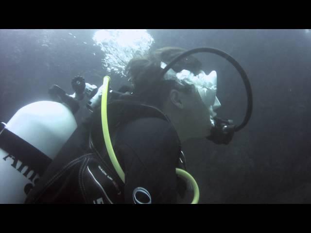 Chernomorec dive