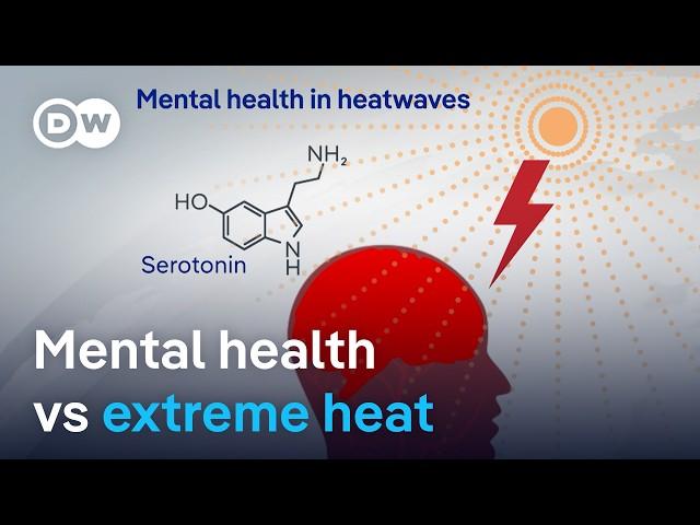 What extreme heat does to the human body – and mental health | DW News