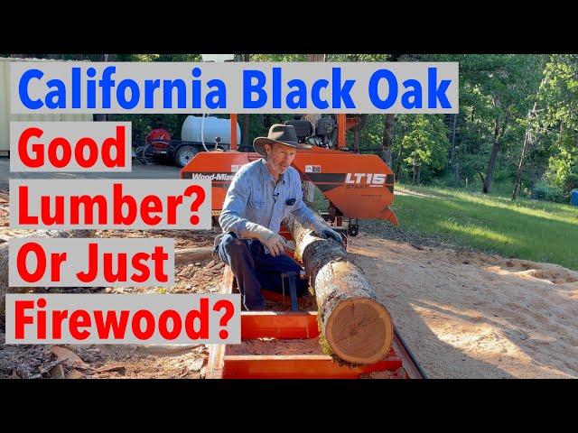 First Time Milling Black Oak on Woodmizer LT15