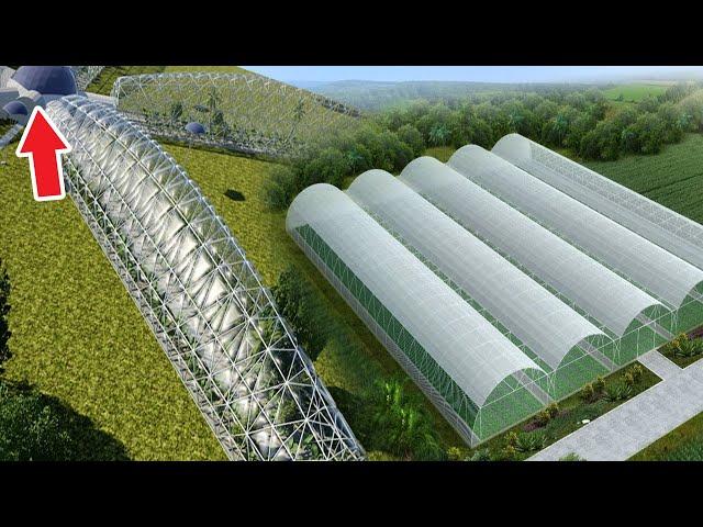 China's Unbelievable Farming Transformation Through Innovation