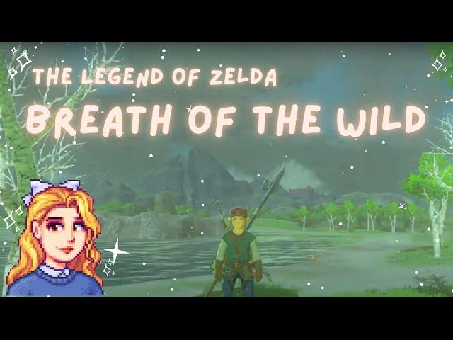 Breath of the Wild – A Cozy New Adventure - Finding the Korok Forrest and Hestu!