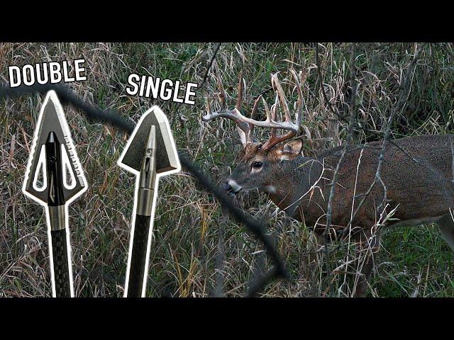 SINGLE vs DOUBLE Bevel Broadheads w/Ranch Fairy!!! (Sharpening Tips)