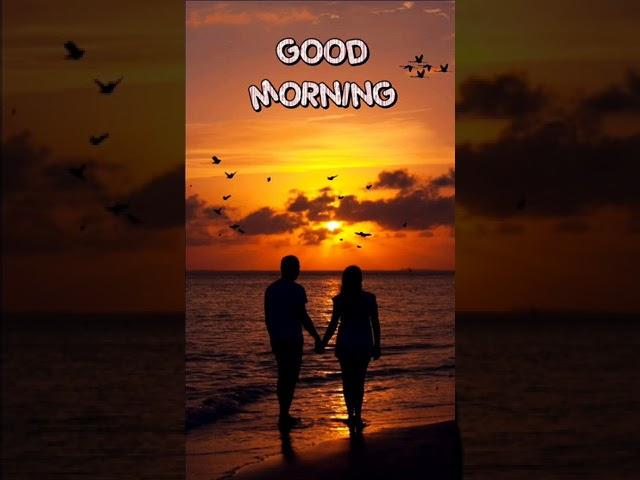 Heart Touching Good Morning Wishes For gf // Good Morning Message For Girlfriend #shorts #love