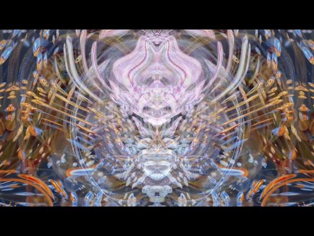 Tipper Ambient Set @ CoSM Alex Grey Art HD