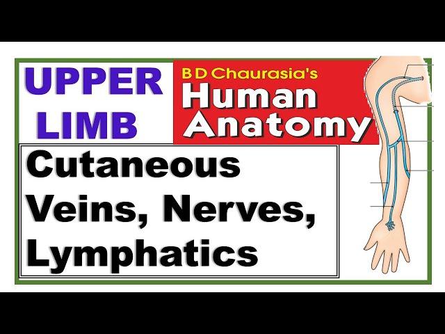 Chp7 BDC Vol1 | Upper Limb | Cutaneous Nerves, Superficial Veins and Lymphatics | Dr Asif Lectures