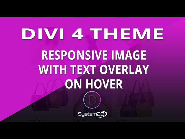 Divi Theme Responsive Image With Text Overlay On Hover 
