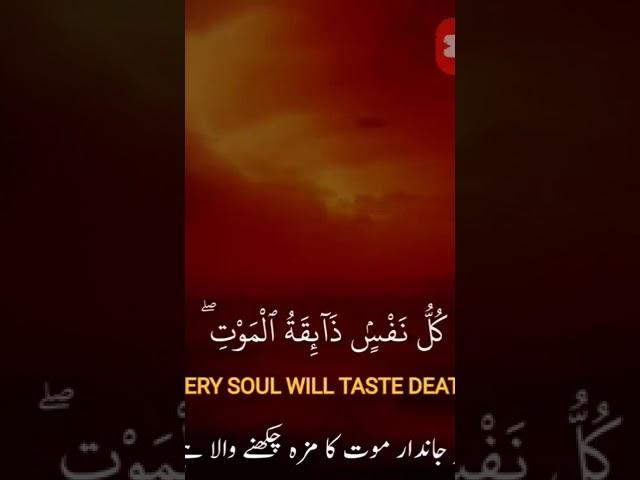 ##dawat e tawheed##  ##subhanallah## ##viralislmicvideos