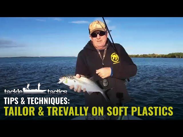 How to Catch Tailor and Trevally on Soft Plastics - Fish the ZMan 3" MinnowZ