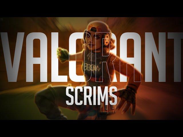 Valorant Scrims Live | Rogue Scrims| Low Rank Scrims|!join