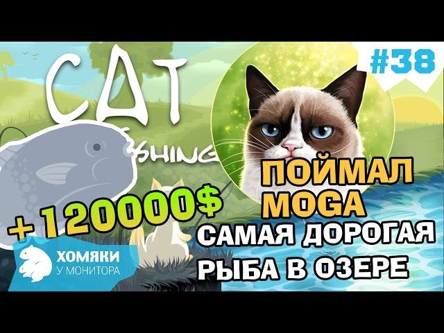 Cat Goes Fishing Прохождение ◗ MOGA за 120000$ ◗ I'VE GOT MOGA- the most expensive fish