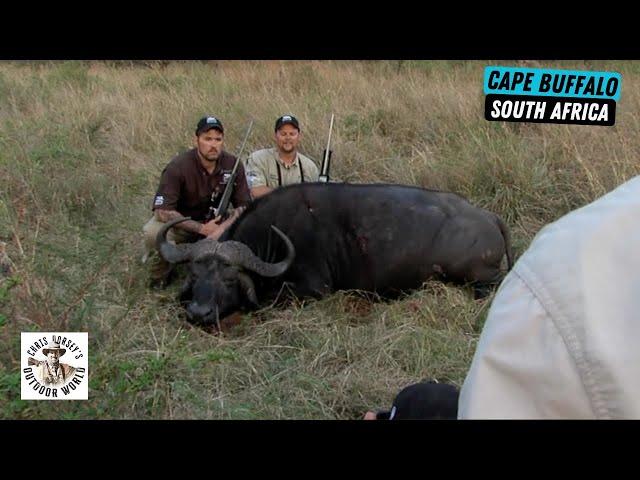 'Lone Survivor' Marcus Luttrell hunts Cape Buffalo in South Africa