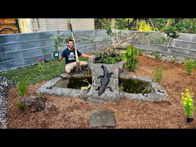 CLEANING POND + LANDSCAPING the NEW GATOR Enclosure! Pt. 2