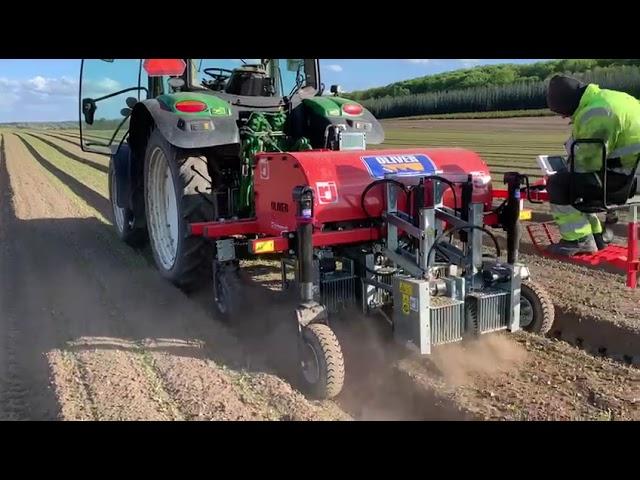 SARCHIATRICE INTERFILARE COLIBRI PER CAROTE INTERROW WEEDING MACHINE BINEUSE, BINADORA HACKMACHINE