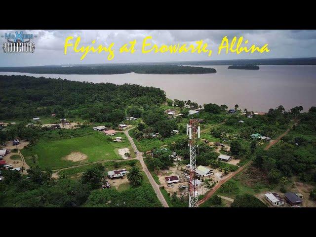 Flying at Erowarte, Albina, Marowijne, Suriname.